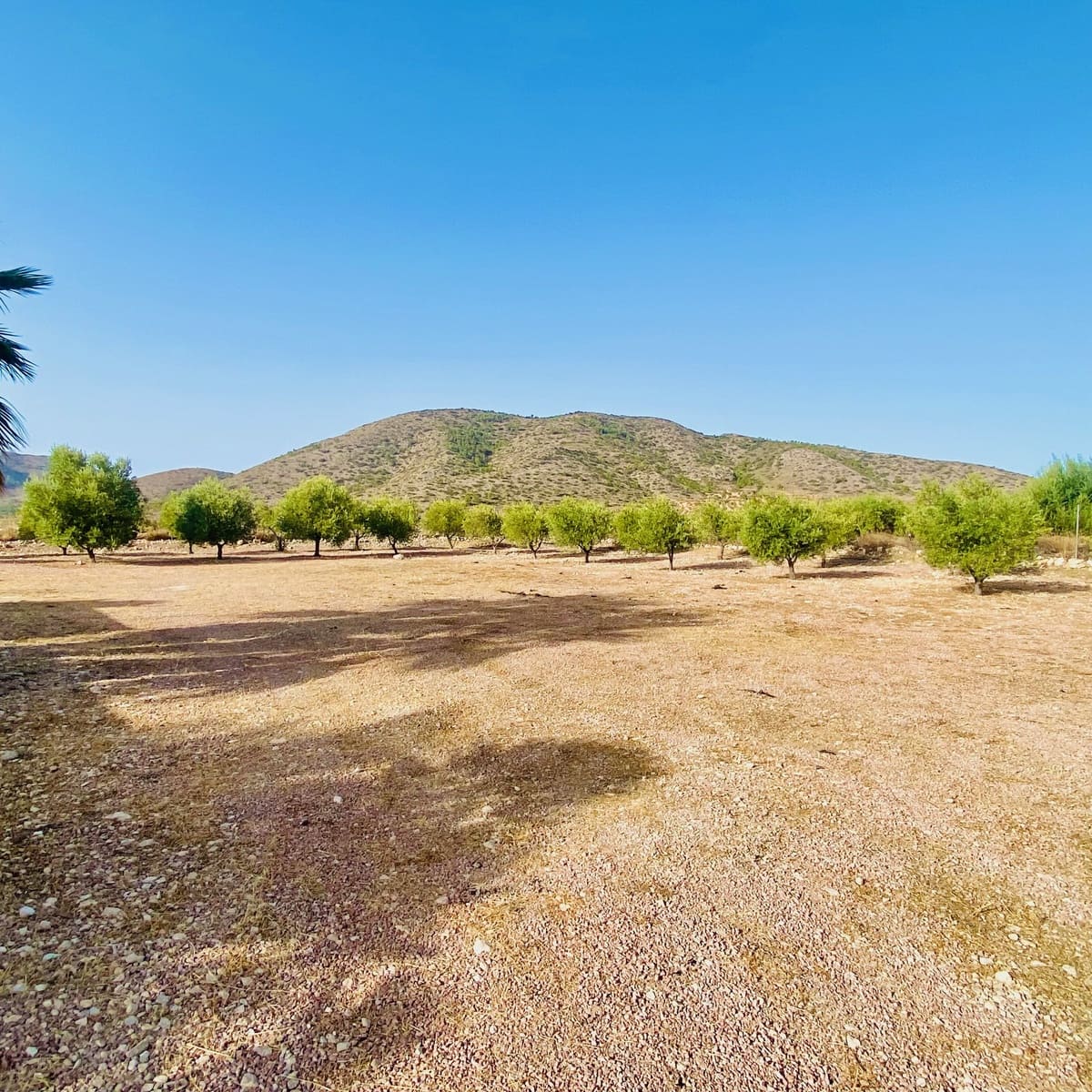 4 camera da letto Villa in vendita in Hondon de las Nieves con piscina garage - 545.000 € (Rif: 10047575)