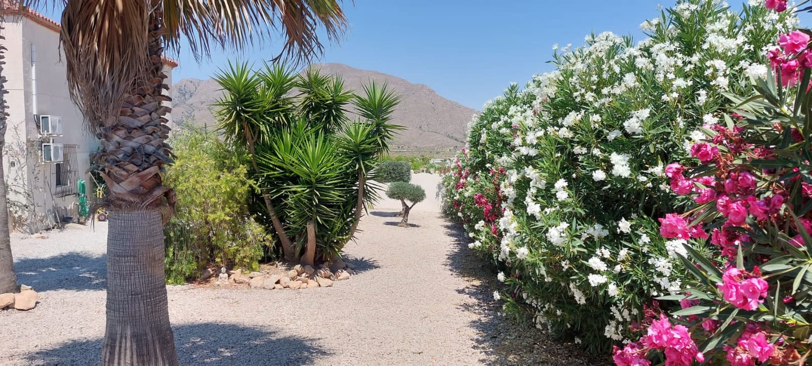 7 soveværelse Villa til salg i Barbarroja med swimmingpool - € 549.500 (Ref: 6978369)