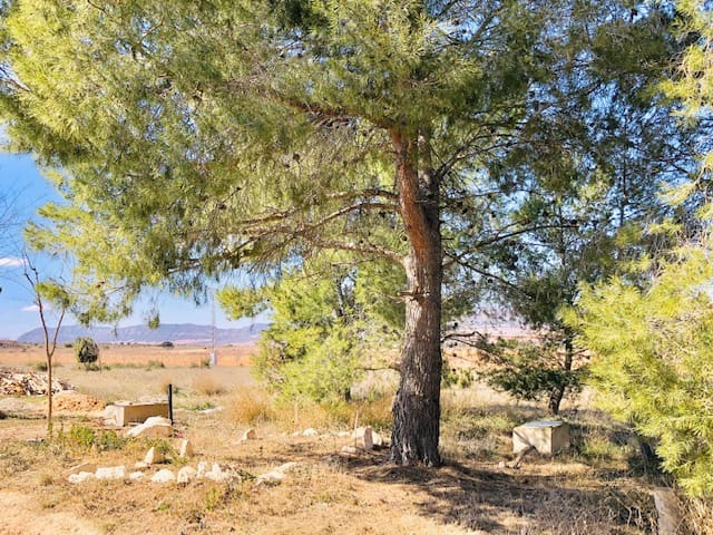 4 Zimmer Finca/Landgut zu verkaufen in Yecla mit Garage - 62.000 € (Ref: 7440633)