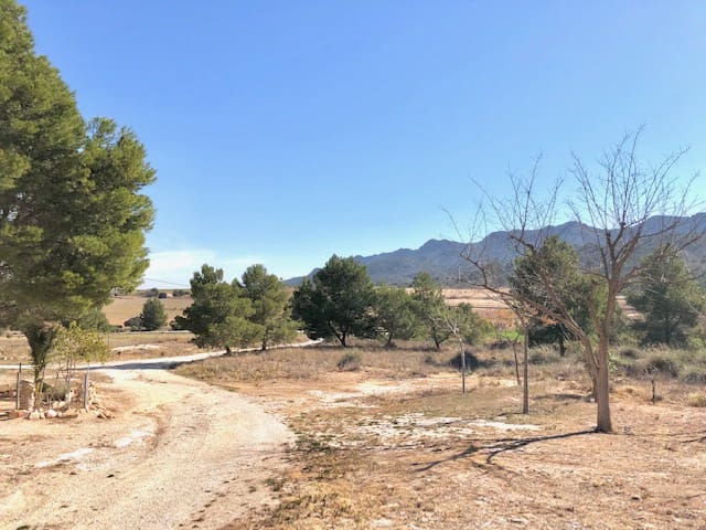 4 Zimmer Finca/Landgut zu verkaufen in Yecla mit Garage - 62.000 € (Ref: 7440633)