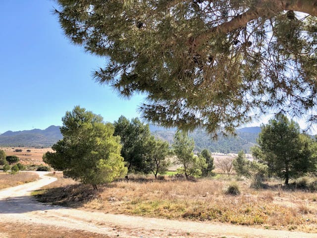 4 Zimmer Finca/Landgut zu verkaufen in Yecla mit Garage - 62.000 € (Ref: 7440633)