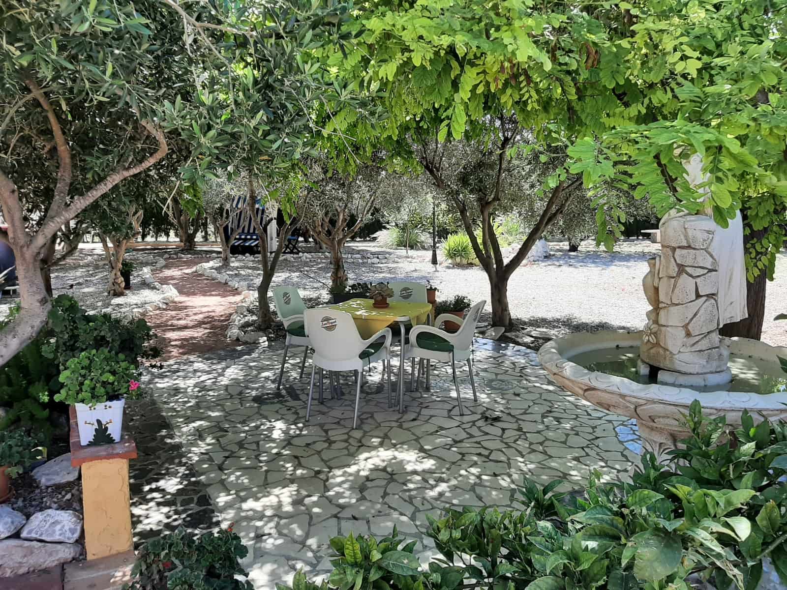 6 chambre Hôtel à vendre à Barbarroja avec piscine garage - 850 000 € (Ref: 7573978)