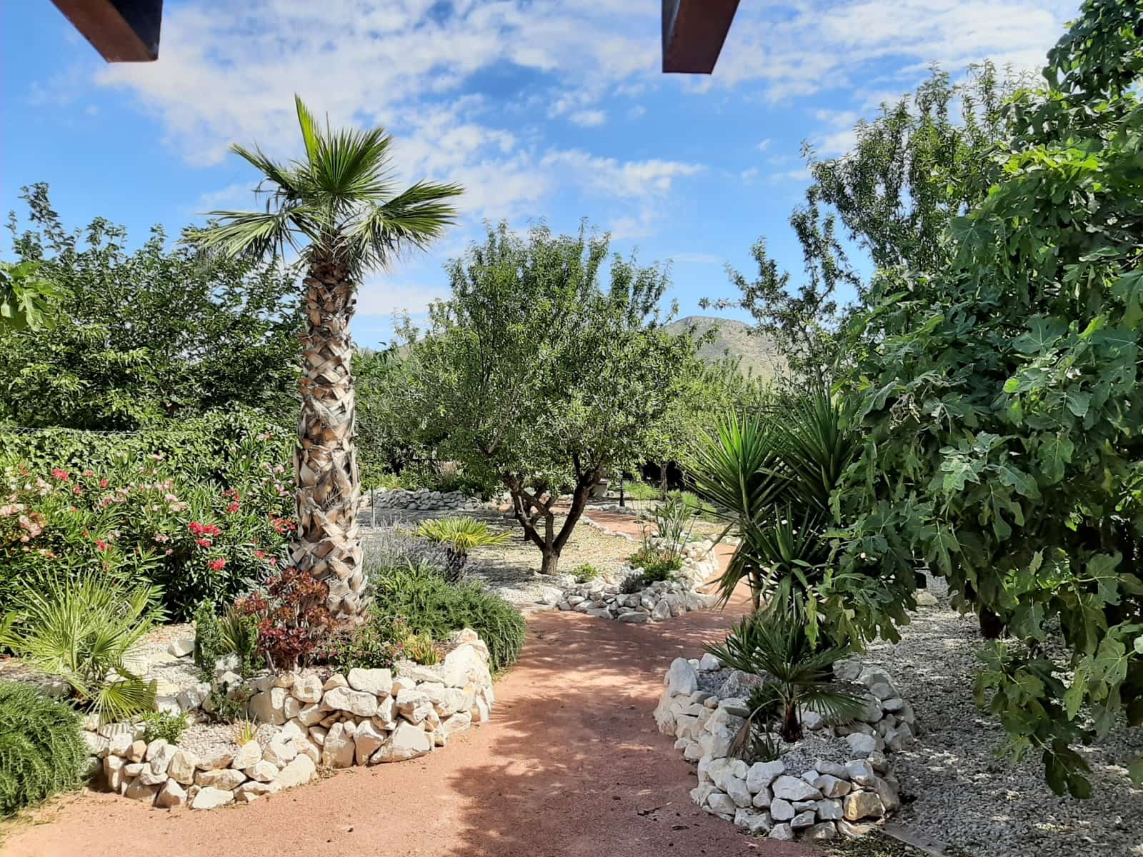 6 chambre Hôtel à vendre à Barbarroja avec piscine garage - 850 000 € (Ref: 7573978)