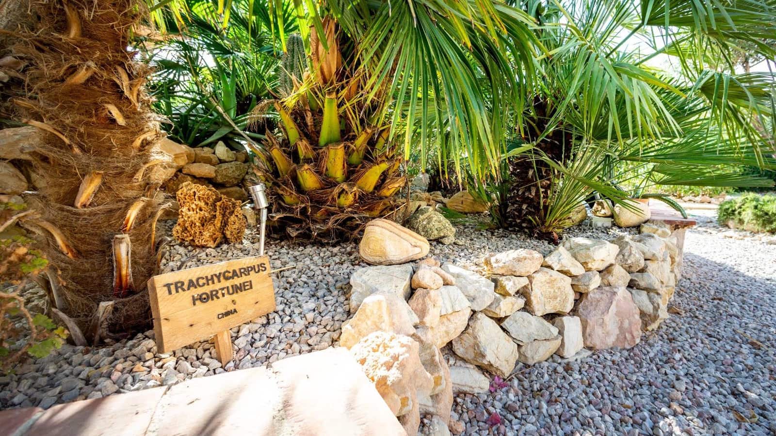 6 chambre Hôtel à vendre à Barbarroja avec piscine garage - 850 000 € (Ref: 7573978)