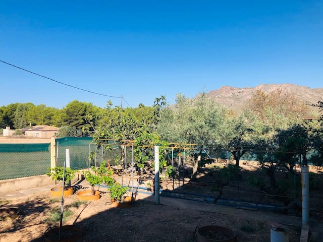 4 chambre Finca/Maison de Campagne à vendre à Yecla avec garage - 151 000 € (Ref: 7767002)