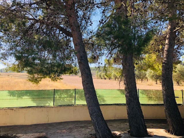 4 chambre Finca/Maison de Campagne à vendre à Yecla avec garage - 151 000 € (Ref: 7767002)