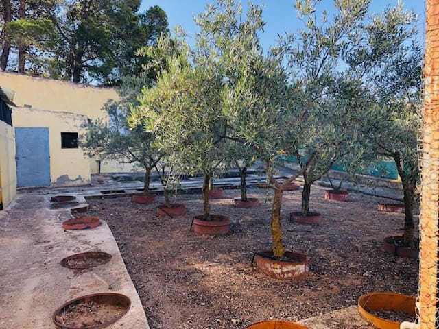 4 chambre Finca/Maison de Campagne à vendre à Yecla avec garage - 151 000 € (Ref: 7767002)