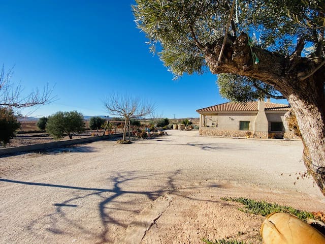 1 slaapkamer Finca/Landhuis te koop in Pinoso met garage - € 199.950 (Ref: 7935401)