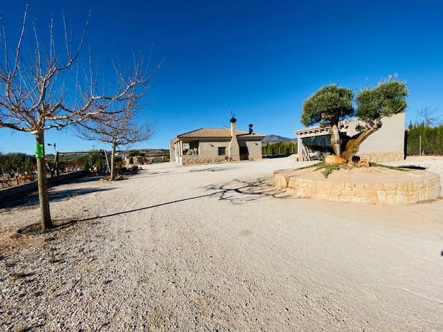 1 slaapkamer Finca/Landhuis te koop in Pinoso met garage - € 199.950 (Ref: 7935401)