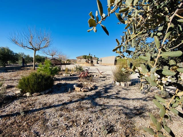 1 slaapkamer Finca/Landhuis te koop in Pinoso met garage - € 199.950 (Ref: 7935401)