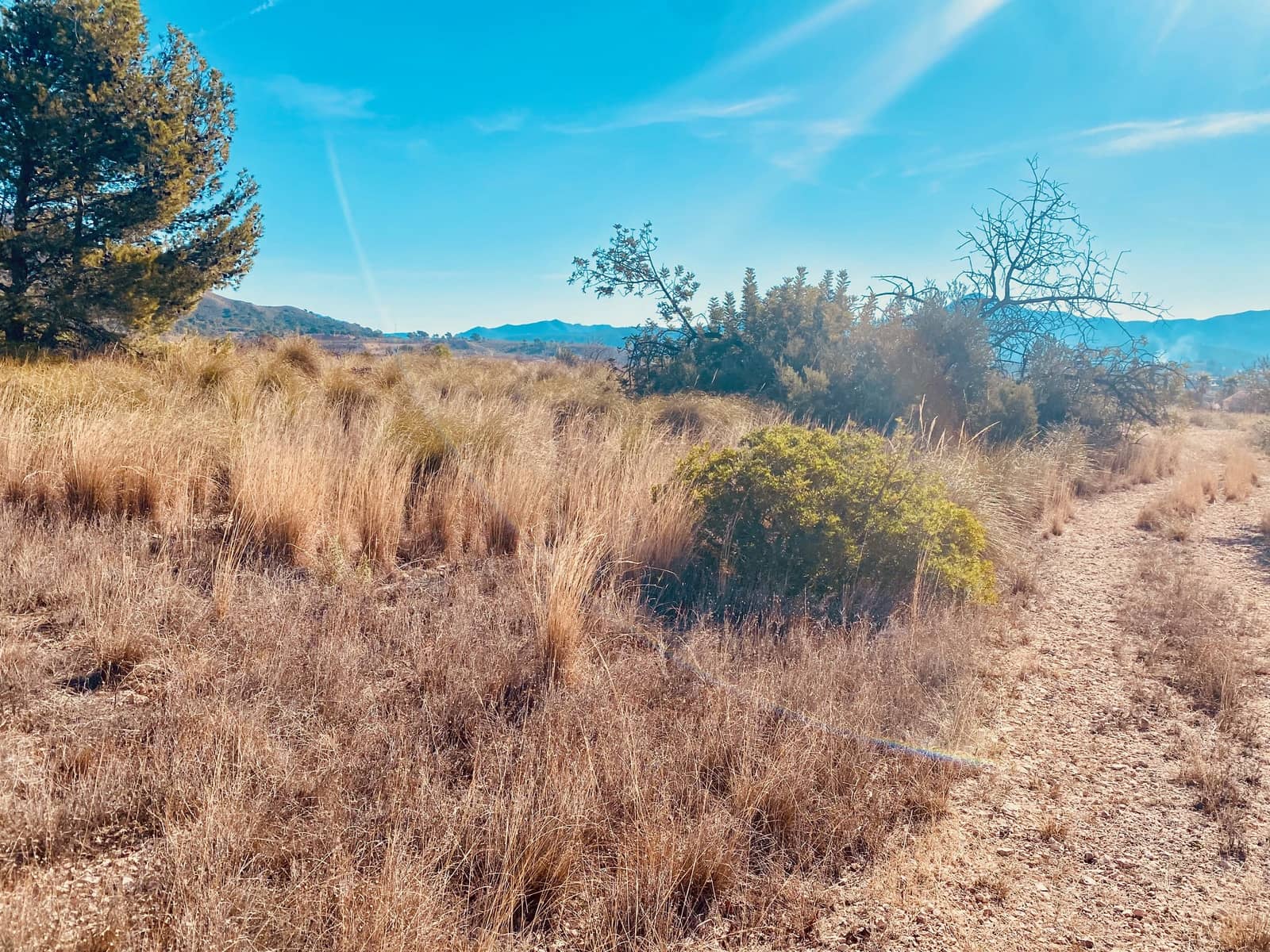 3 soverom Villa til salgs i Macisvenda med svømmebasseng garasje - € 209 000 (Ref: 8055264)