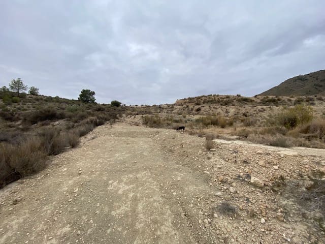 2 slaapkamer Finca/Landhuis te koop in Abanilla - € 72.990 (Ref: 8059050)