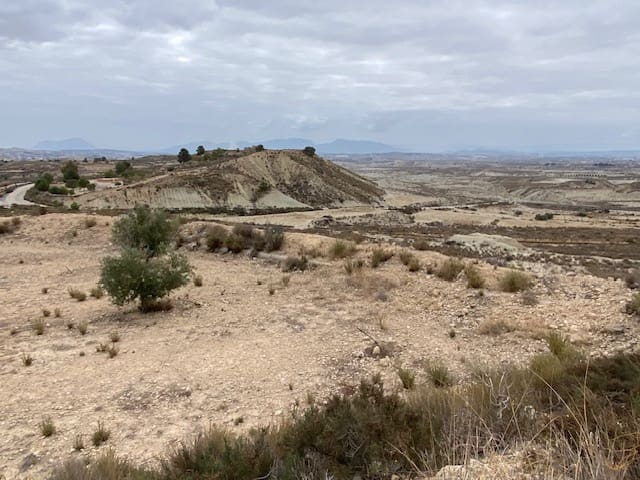 2 slaapkamer Finca/Landhuis te koop in Abanilla - € 72.990 (Ref: 8059050)