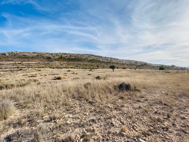 Bouwgrond te koop in Jumilla - € 35.000 (Ref: 8071450)