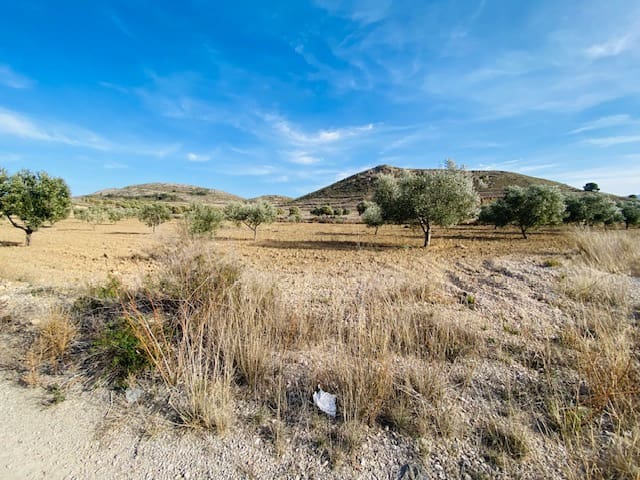 Bouwgrond te koop in Jumilla - € 35.000 (Ref: 8071450)