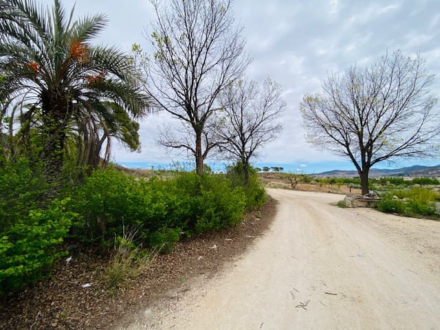 8 soveværelse Semi-Rækkehus til salg i Pinoso - € 205.000 (Ref: 8207030)