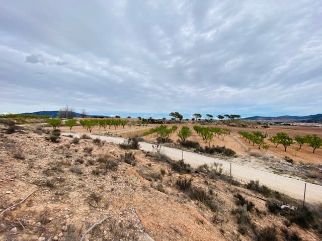 8 soveværelse Semi-Rækkehus til salg i Pinoso - € 205.000 (Ref: 8207030)