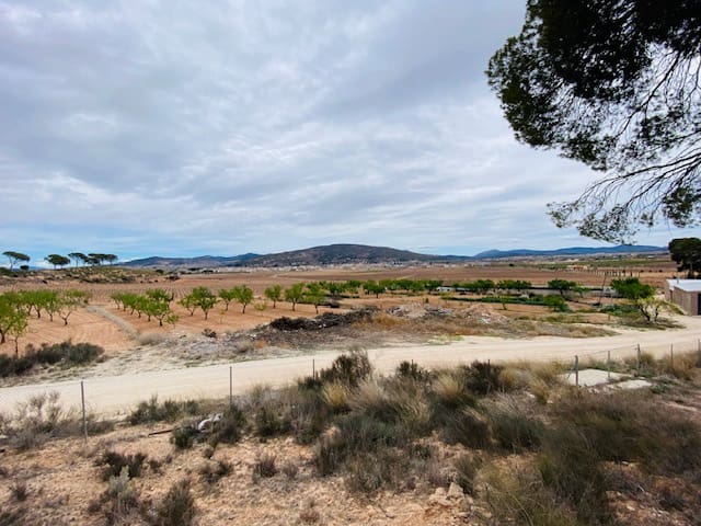 8 soveværelse Semi-Rækkehus til salg i Pinoso - € 205.000 (Ref: 8207030)