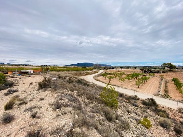 8 soveværelse Semi-Rækkehus til salg i Pinoso - € 205.000 (Ref: 8207030)