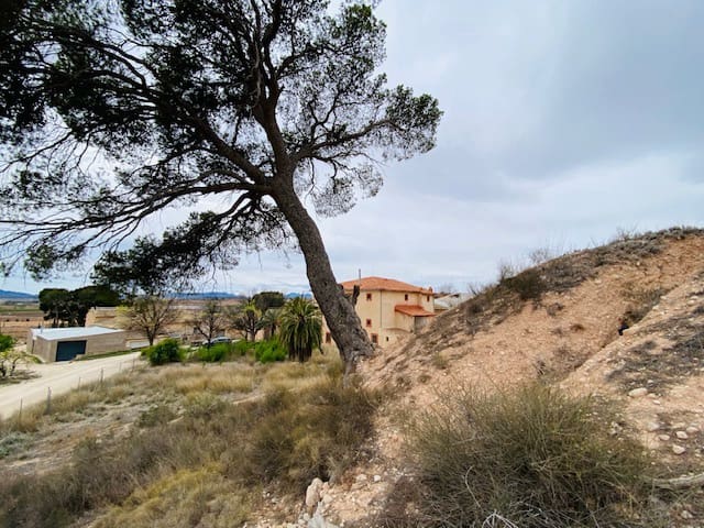 8 soveværelse Semi-Rækkehus til salg i Pinoso - € 205.000 (Ref: 8207030)