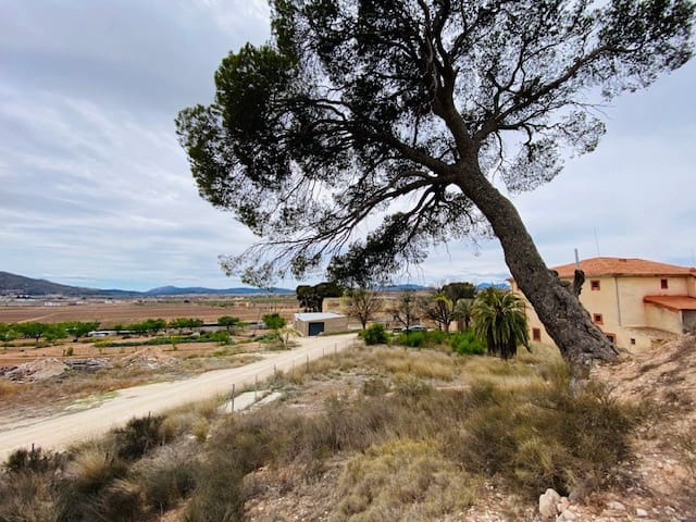 8 soveværelse Semi-Rækkehus til salg i Pinoso - € 205.000 (Ref: 8207030)