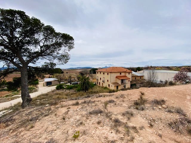 8 soveværelse Semi-Rækkehus til salg i Pinoso - € 205.000 (Ref: 8207030)