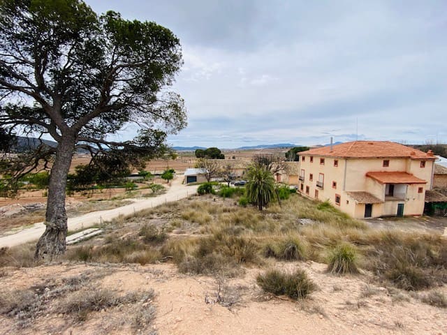 8 soveværelse Semi-Rækkehus til salg i Pinoso - € 205.000 (Ref: 8207030)