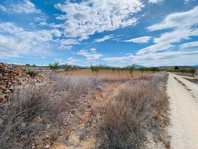 3 sypialnia Willa na sprzedaż w Jumilla z basenem - 347 000 € (Ref: 8257997)