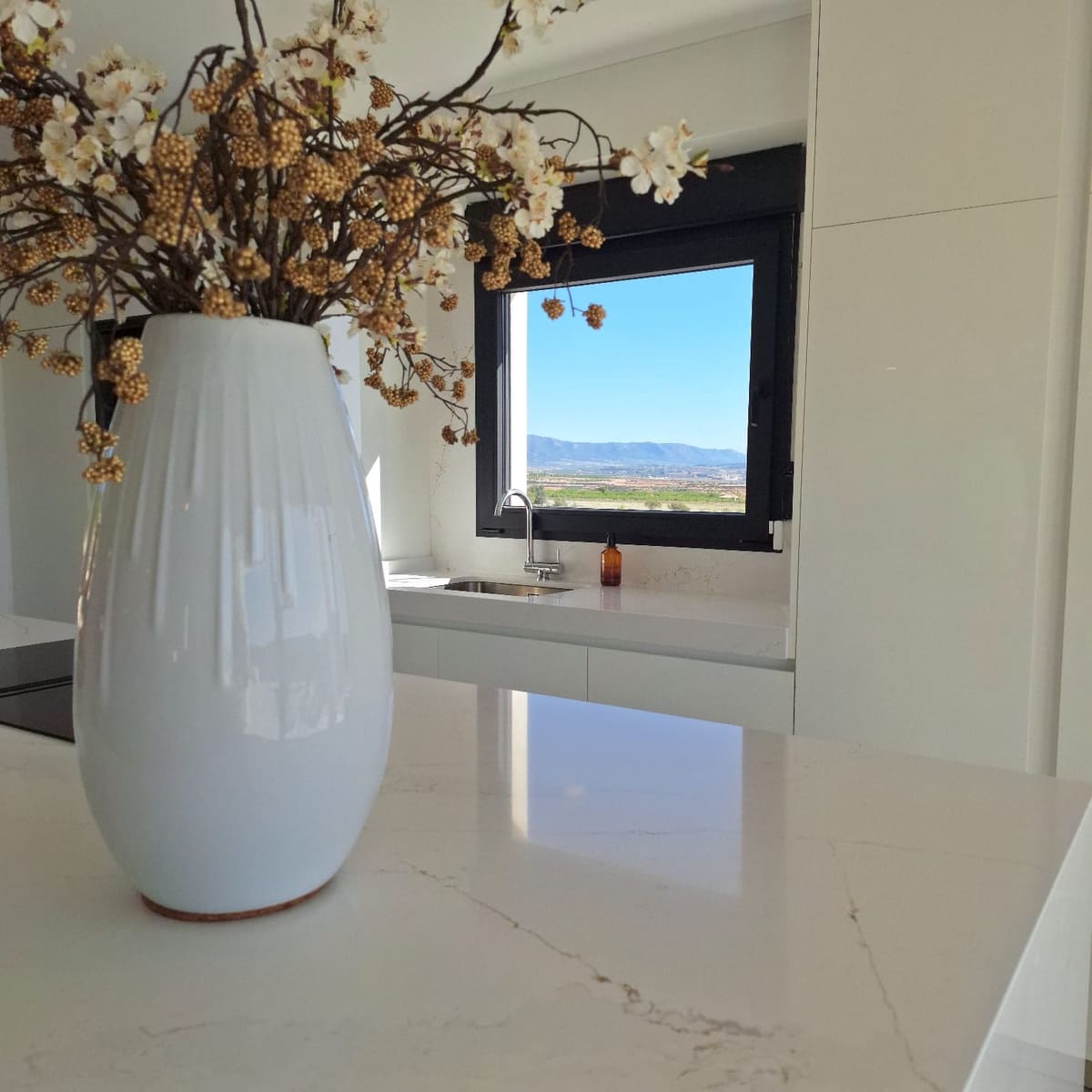 4 bedroom Villa for sale in Pinoso with pool - € 549,000 (Ref: 9013240)