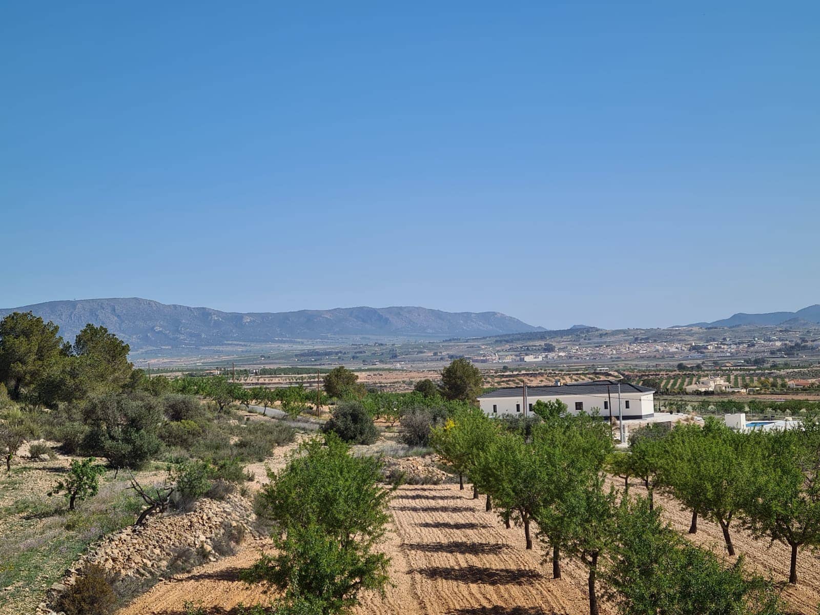 4 bedroom Villa for sale in Pinoso with pool - € 549,000 (Ref: 9013240)