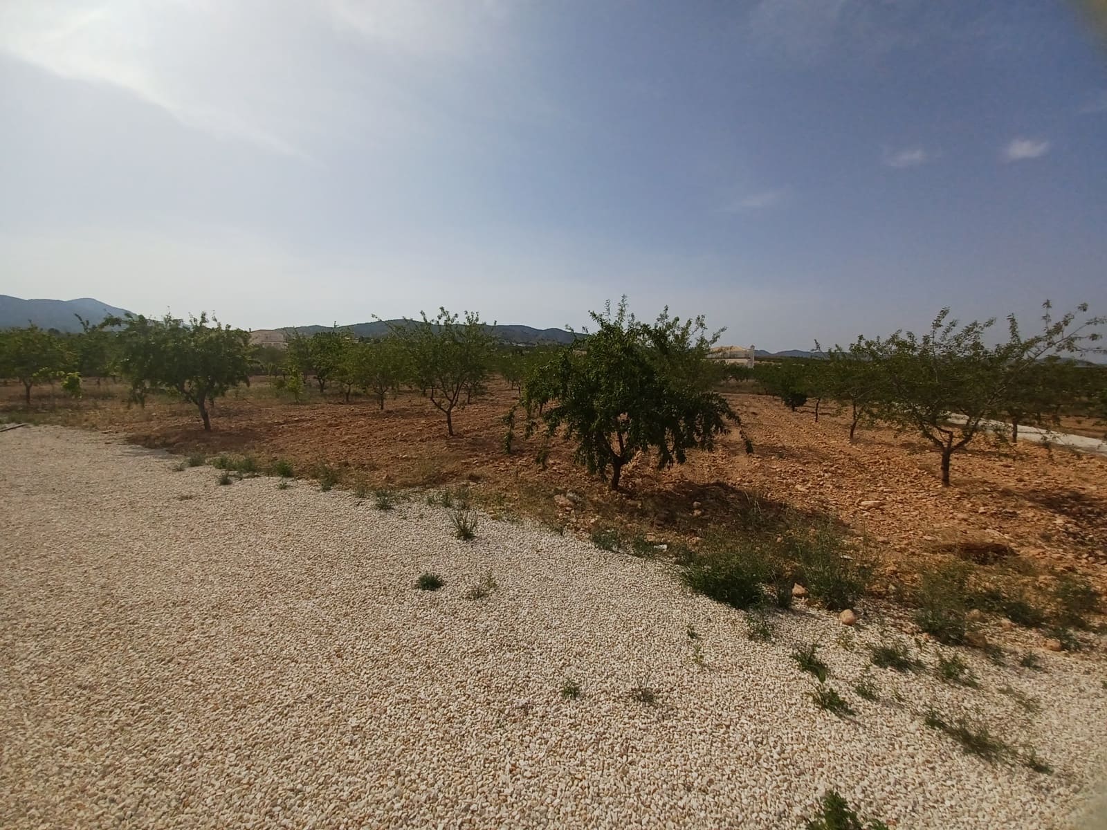 6 bedroom Villa for sale in Pinoso with pool garage - € 699,000 (Ref: 9072885)