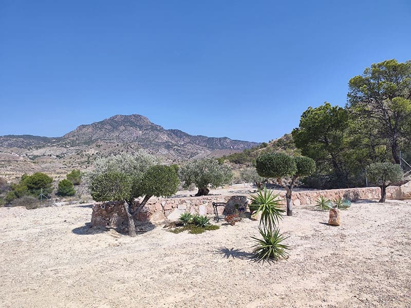 4 camera da letto Finca/Casa di Campagna in vendita in Las Casicas con piscina garage - 309.000 € (Rif: 9196313)