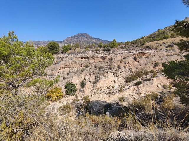 4 sypialnia Finka/Dom wiejski na sprzedaż w Las Casicas, Fortuna z basenem garażem - 309 000 € (Ref: 9196313)