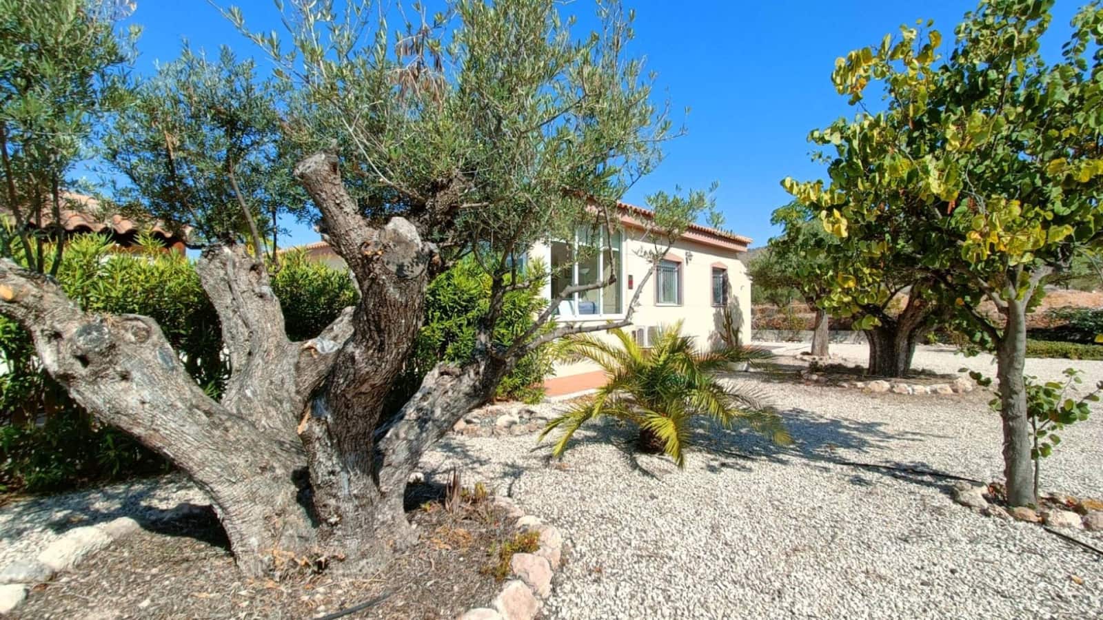 3 chambre Villa/Maison à vendre à Macisvenda avec piscine garage - 295 000 € (Ref: 9221296)