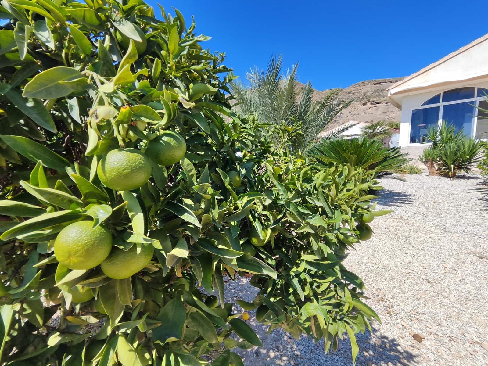 4 soverom Hus til salgs i Fortuna med svømmebasseng garasje - € 260 000 (Ref: 9306401)