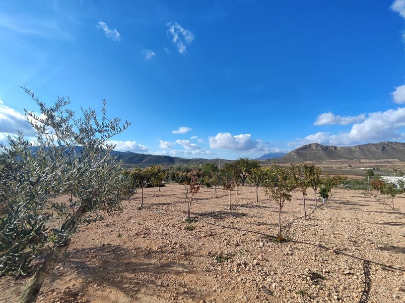 3 slaapkamer Huis te koop in Canada de la Lena met zwembad garage - € 399.950 (Ref: 9360752)