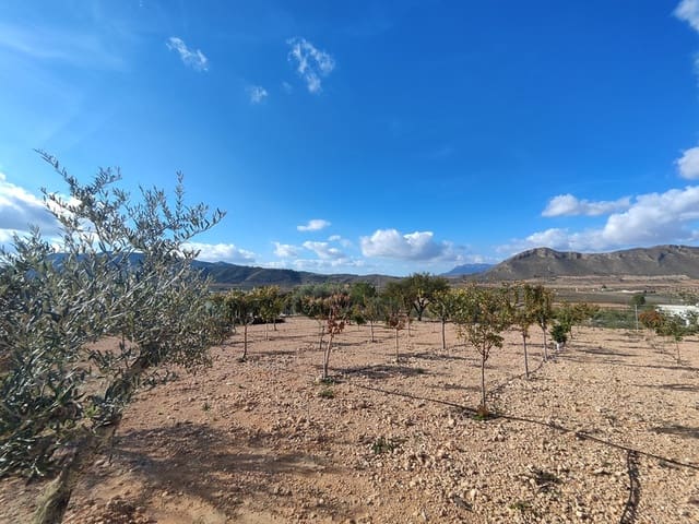 3 bedroom Townhouse for sale in Cañada de la Lena, Abanilla with pool garage - € 399,950 (Ref: 9360752)