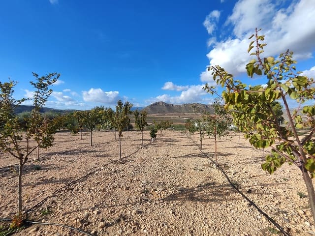 3 bedroom Townhouse for sale in Cañada de la Lena, Abanilla with pool garage - € 399,950 (Ref: 9360752)