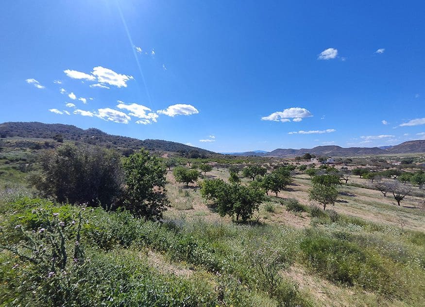 3 chambre Finca/Maison de Campagne à vendre à Torremendo - 129 000 € (Ref: 9394069)