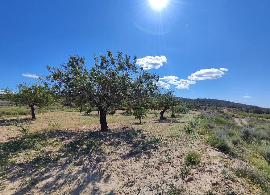3 chambre Finca/Maison de Campagne à vendre à Torremendo - 129 000 € (Ref: 9394069)