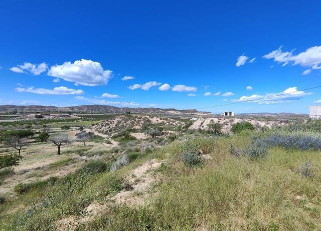 3 quarto Quinta/Casa Rural para venda em Torremendo, Orihuela - 129 000 € (Ref: 9394069)