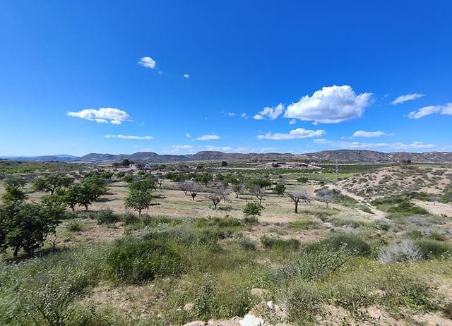 3 quarto Quinta/Casa Rural para venda em Torremendo, Orihuela - 129 000 € (Ref: 9394069)