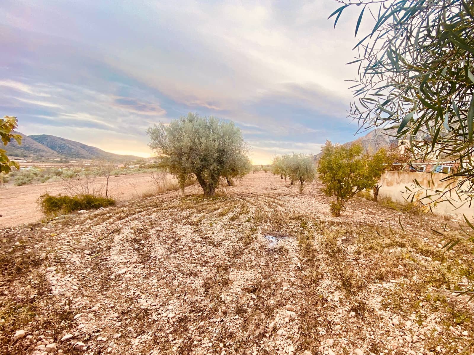 9 sypialnia Willa na sprzedaż w Abanilla z garażem - 269 950 € (Ref: 9441922)