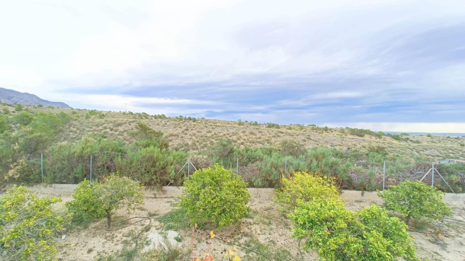 3 soveværelse Finca/Landehus til salg i Albatera med swimmingpool garage - € 259.950 (Ref: 9449711)