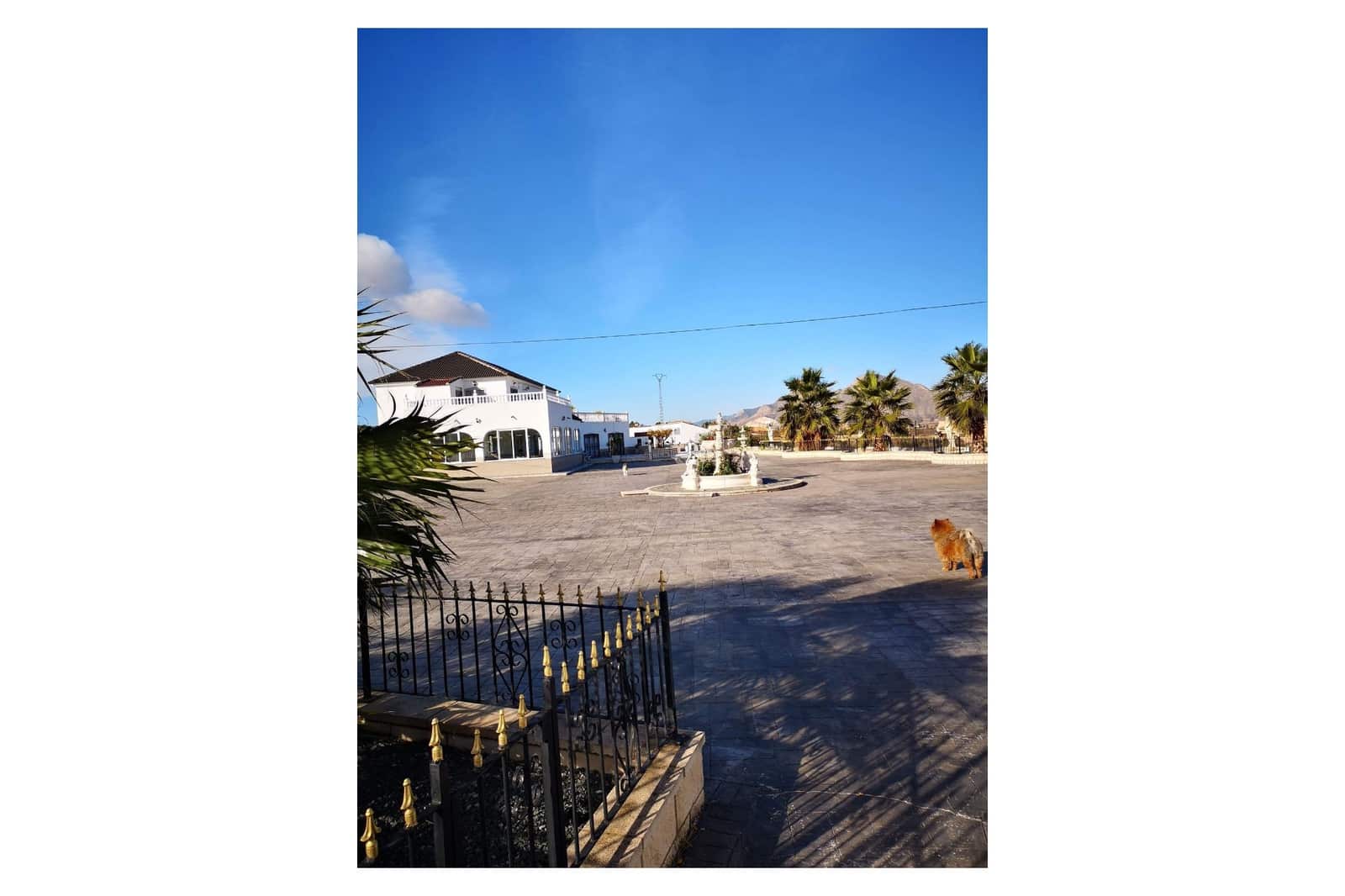 6 quarto Quinta/Casa Rural para venda em Hondon de los Frailes com piscina garagem - 595 000 € (Ref: 9471253)