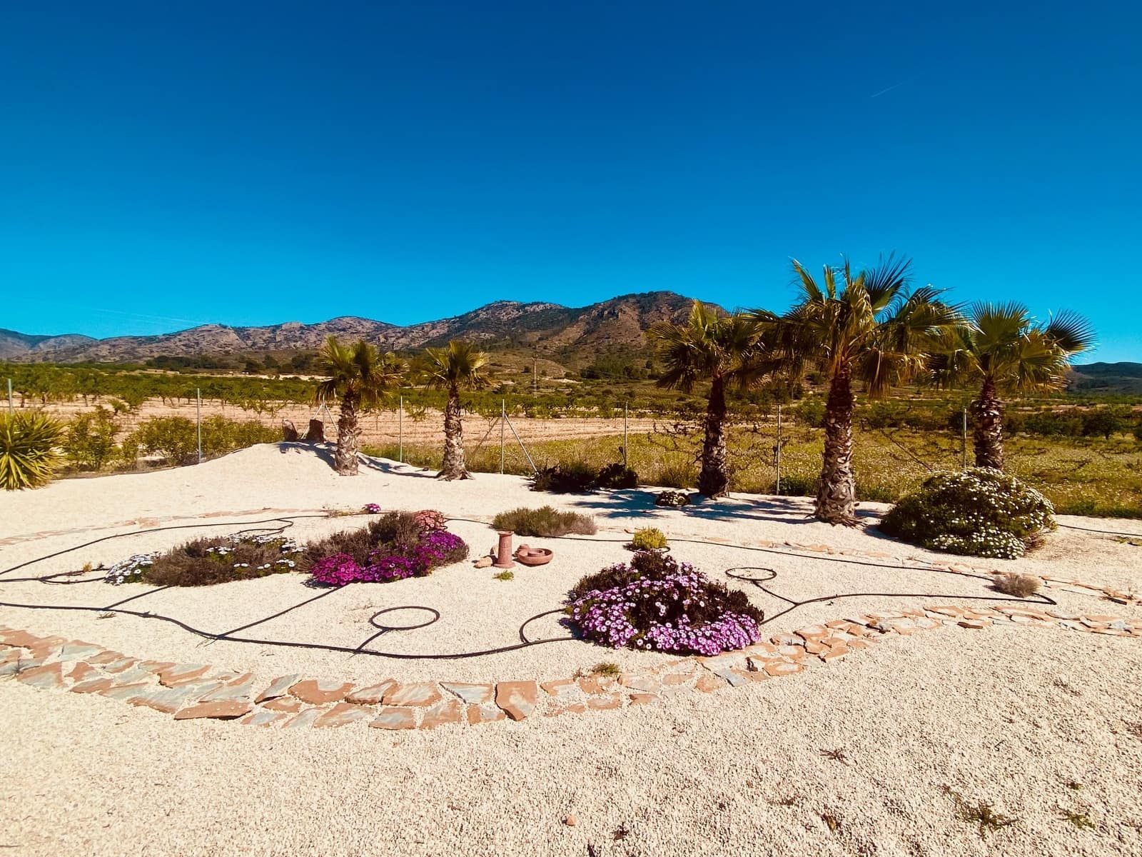 5 Zimmer Villa zu verkaufen in Barbarroja mit Pool Garage - 475.000 € (Ref: 9713608)