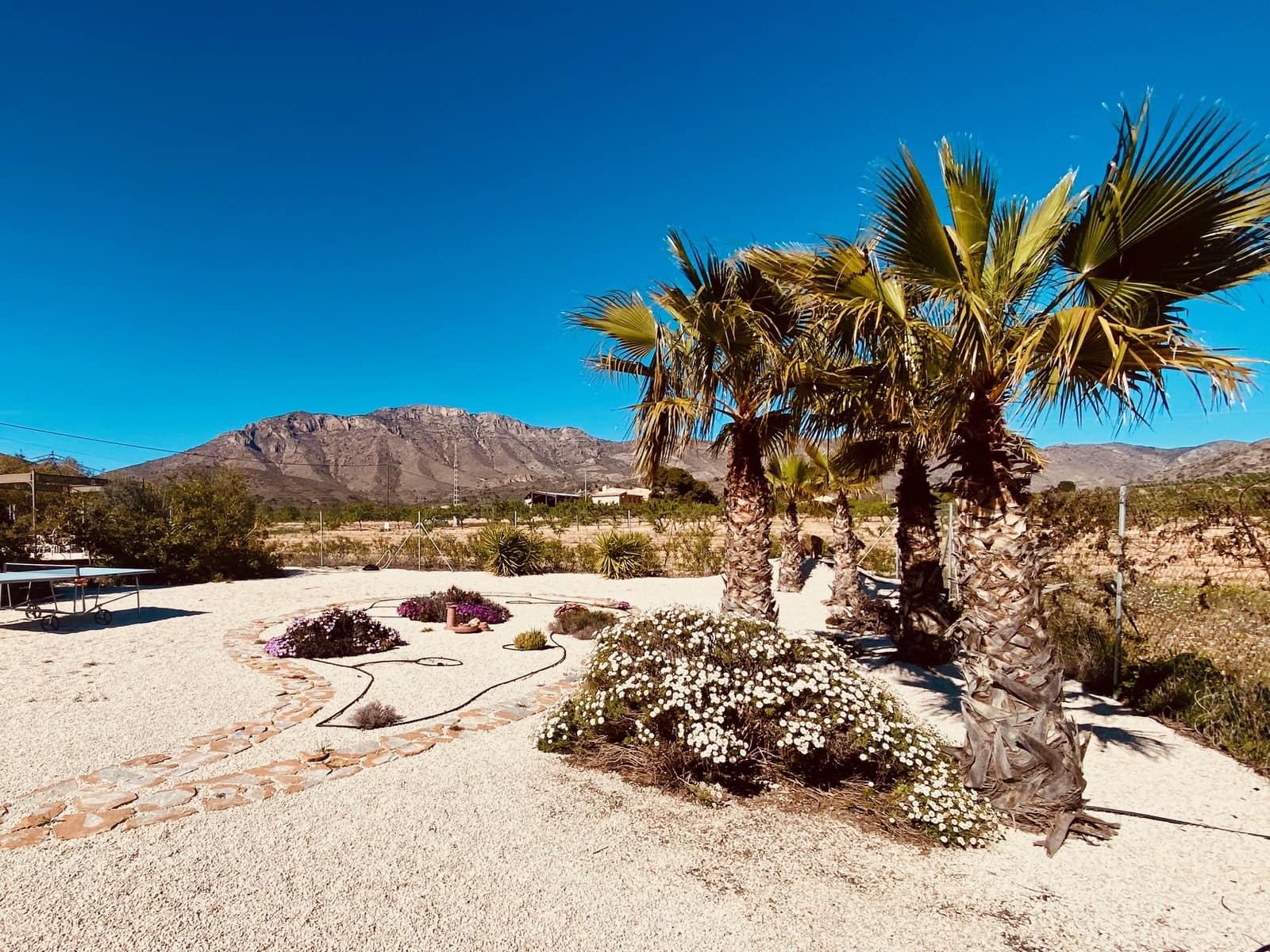 5 Zimmer Villa zu verkaufen in Barbarroja mit Pool Garage - 475.000 € (Ref: 9713608)