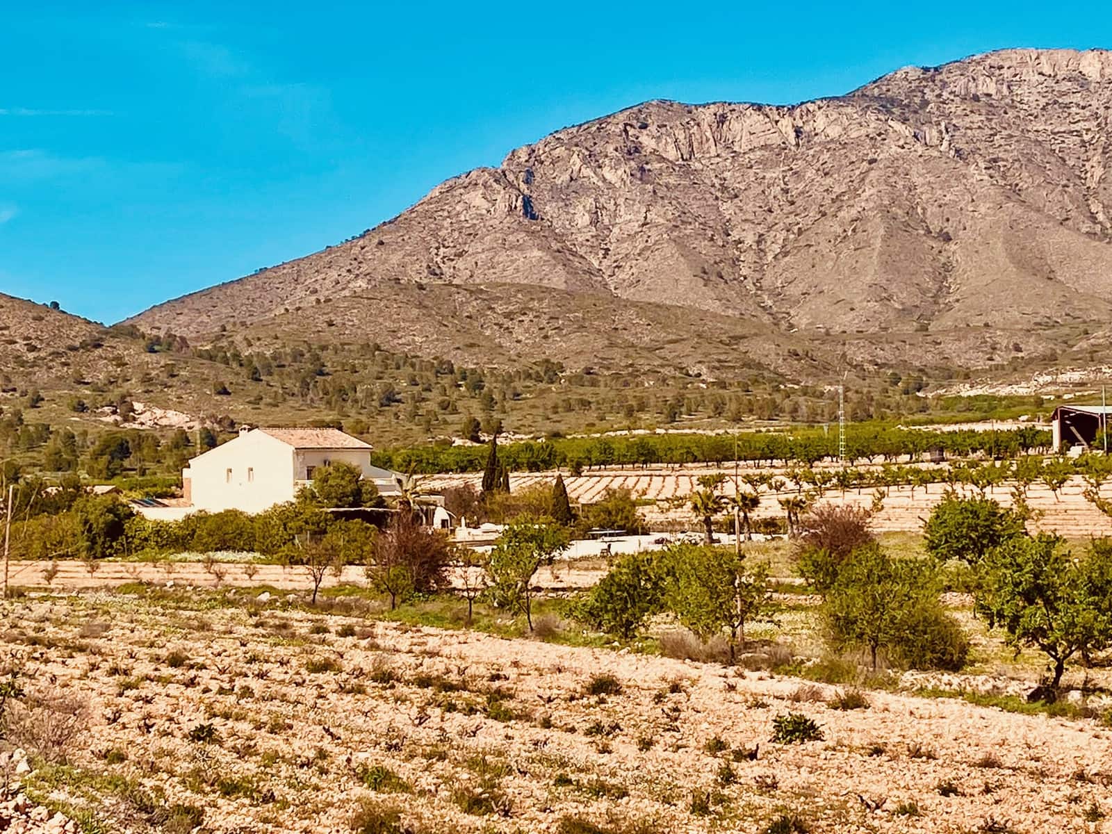 5 Zimmer Villa zu verkaufen in Barbarroja mit Pool Garage - 475.000 € (Ref: 9713608)