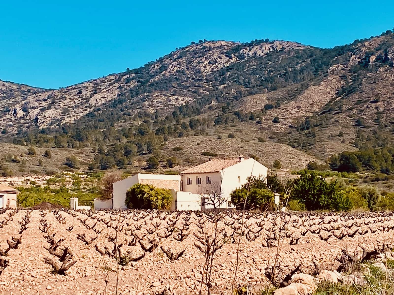 5 Zimmer Villa zu verkaufen in Barbarroja mit Pool Garage - 475.000 € (Ref: 9713608)