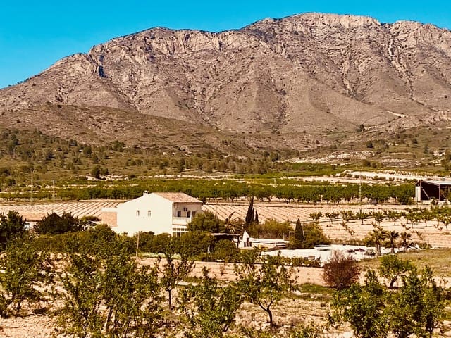 Chalet de 5 habitaciones en Barbarroja, Orihuela en venta con piscina garaje - 475.000 € (Ref: 9713608)